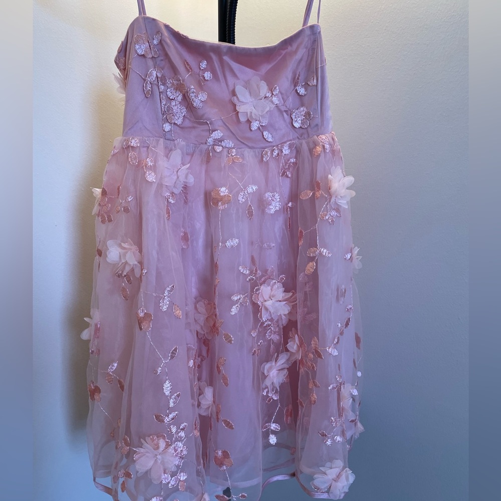 Windsor Pink Chiffon Babydoll Dress - Picture 4 of 6